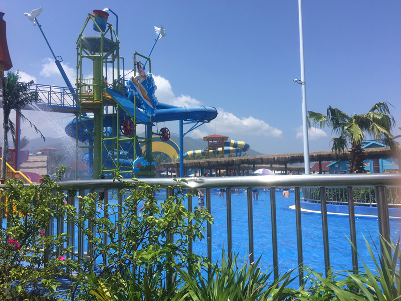 夏日送清涼，海豚灣之旅